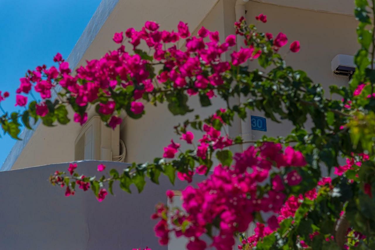 Seaside Home Ρέθυμνο Εξωτερικό φωτογραφία